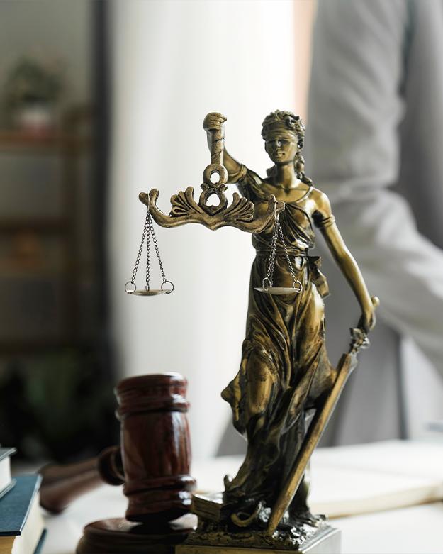 Zamówienia publiczne